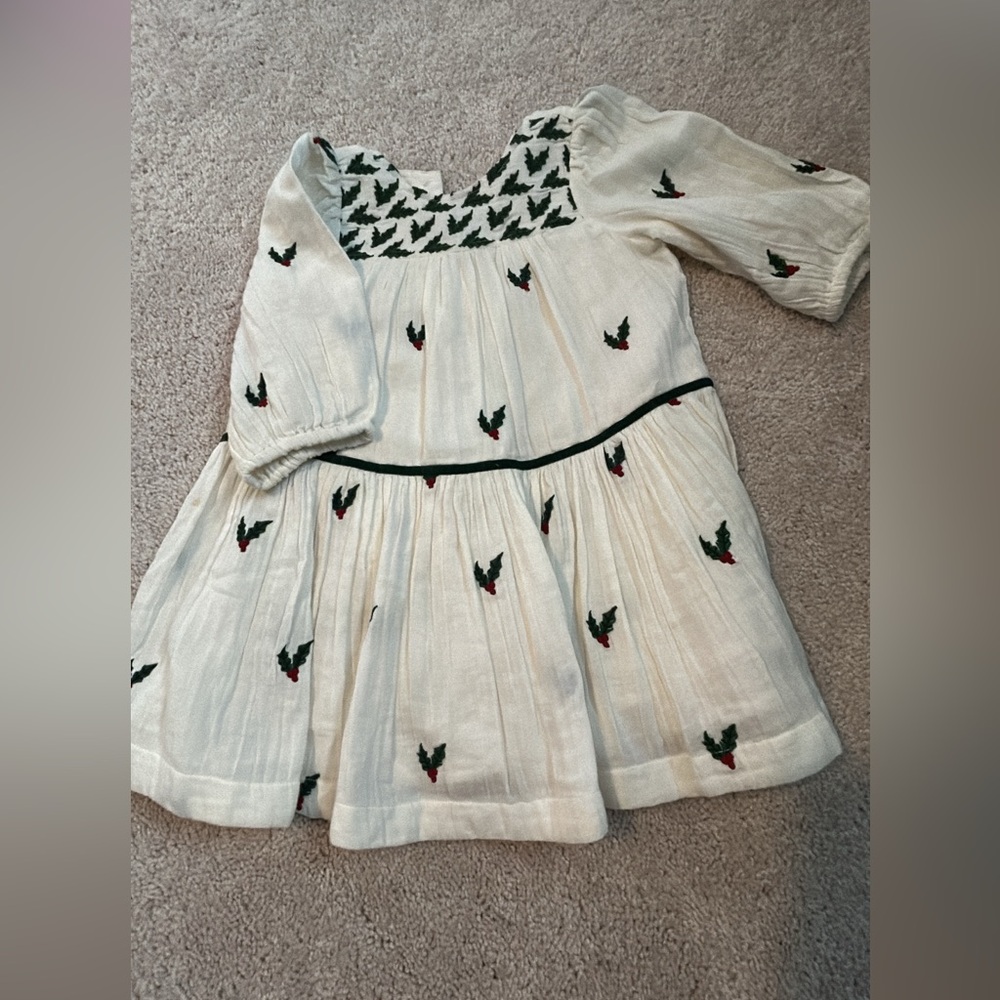 Pink Chicken Cream Dress with Green and Red Holly